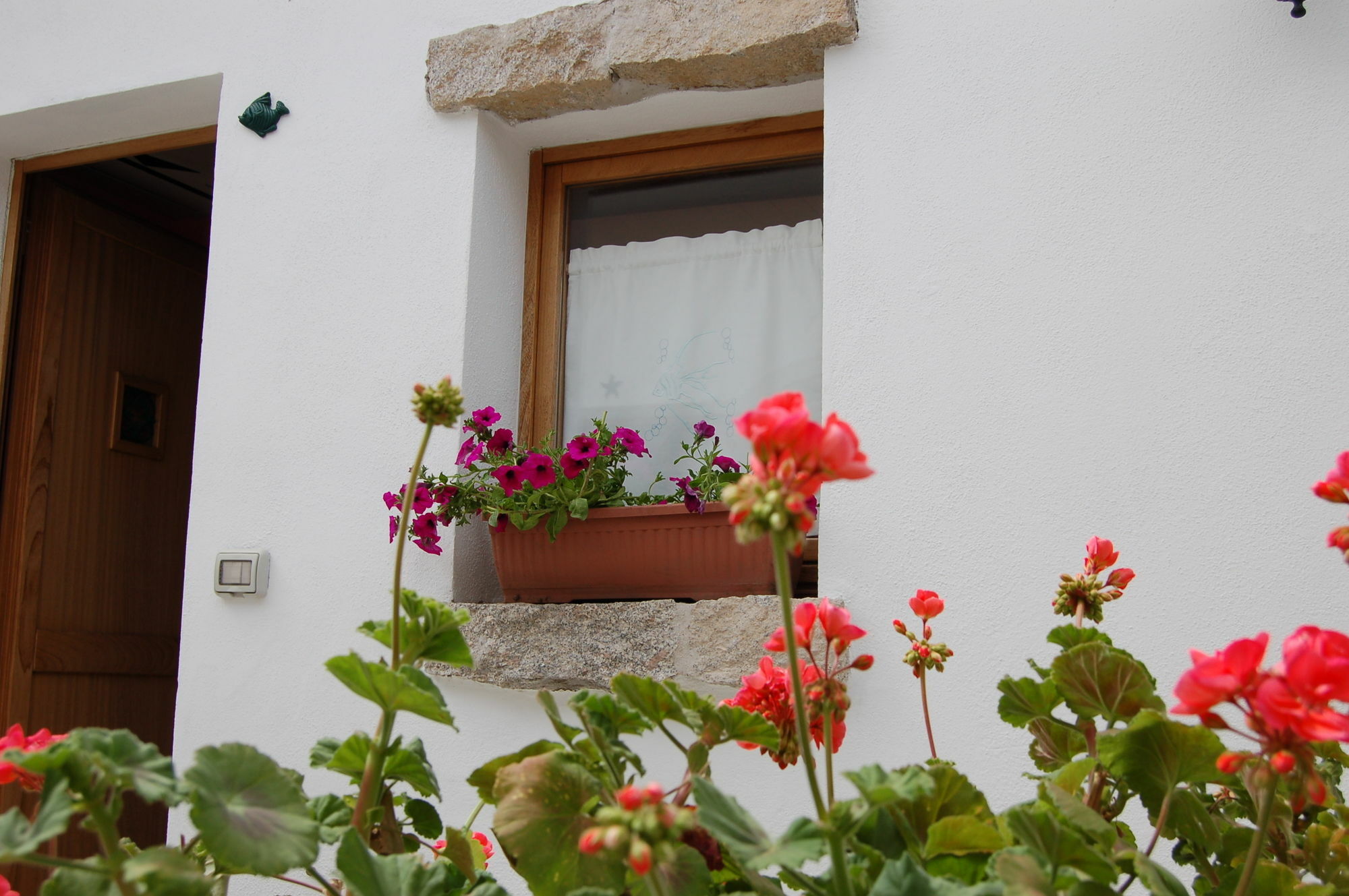 Olbia Domus Inn エクステリア 写真